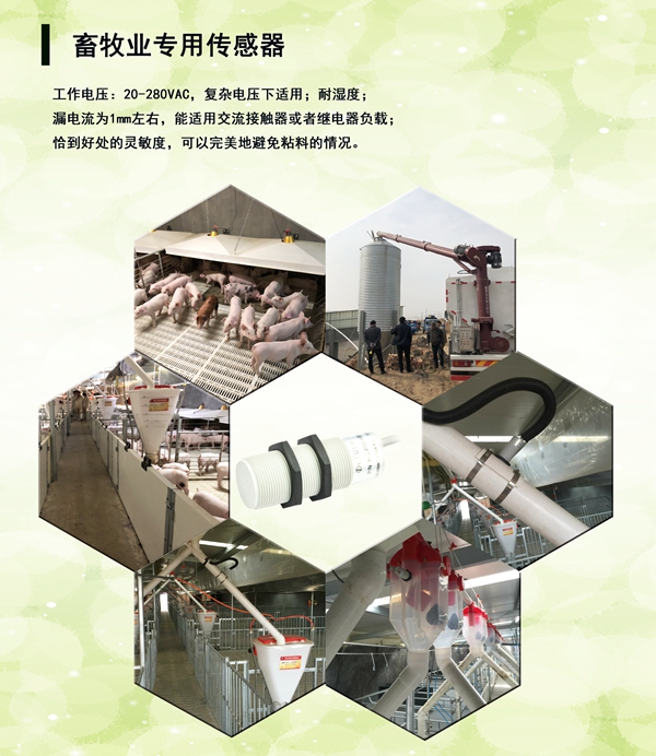 德夫爾受邀參加青島國際自動化展