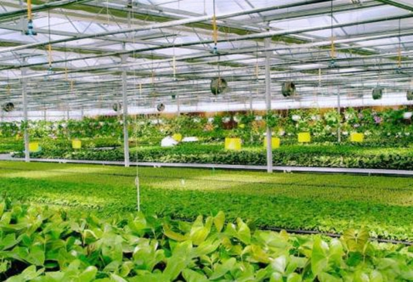 德夫爾受邀參加青島國際自動化展